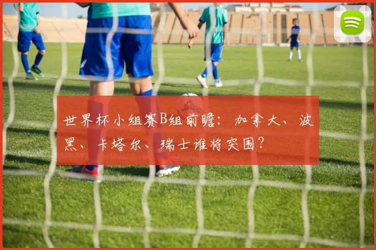 世界杯小组赛B组前瞻：加拿大、波黑、卡塔尔、瑞士谁将突围？