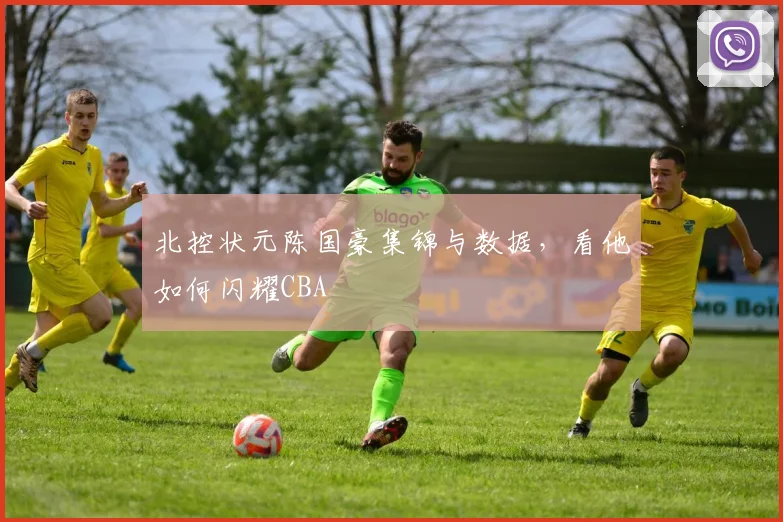 北控状元陈国豪集锦与数据，看他如何闪耀CBA