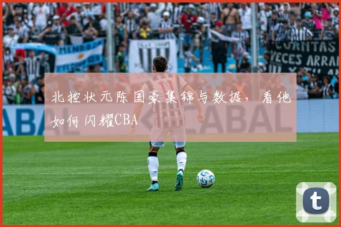 北控状元陈国豪集锦与数据，看他如何闪耀CBA
